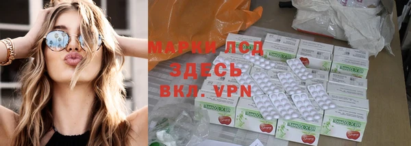 apvp Богданович