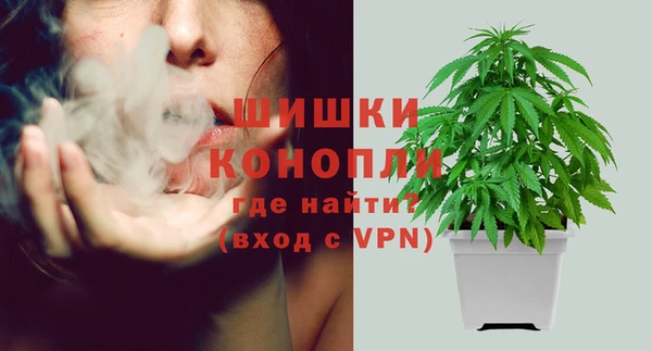 PSILOCYBIN Белоозёрский