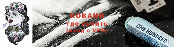 apvp Богданович