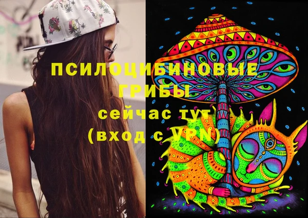 ALPHA PVP Белокуриха