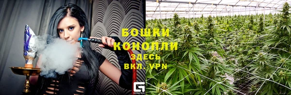 спайс Беломорск