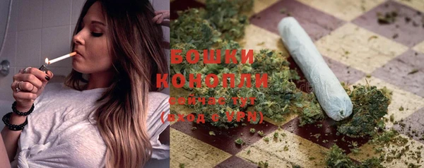 молекула духа Богородск