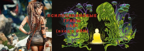 ALPHA PVP Белокуриха