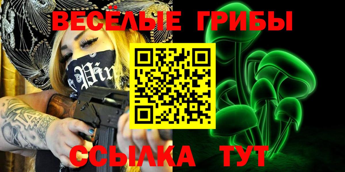 Псилоцибиновые грибы Psilocybine cubensis Славгород