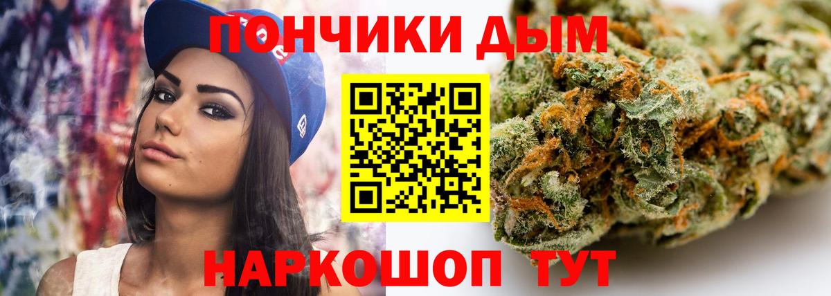 Каннабис сатива  Каннабис план  Бошки Шишки план  Вход с VPN  Славгород 